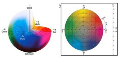 彩名堂(中国区)官方网站入口